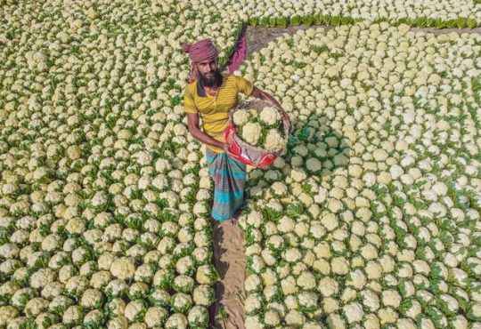 Best photos of Look at Life in Bangladesh