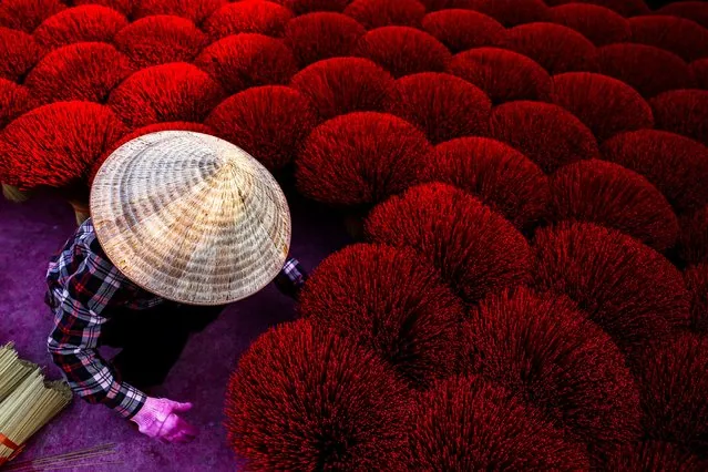 Worker arranges incense sticks to dry ahead of Lunar New Year Quang Phu Cau Vietnam