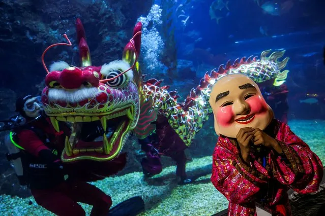 Divers perform underwater dragon dance at Sea Life Bangkok aquarium Thailand
