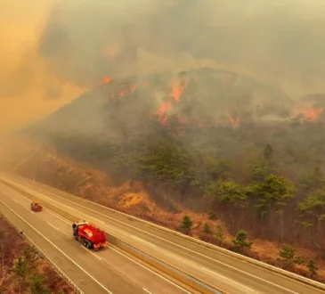 Road closed in Uiseong South Korea as wildfire spreads for third consecutive day March 2025