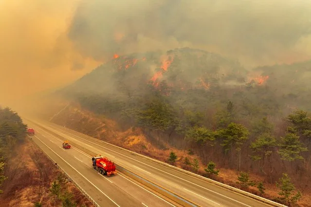 Road closed in Uiseong South Korea as wildfire spreads for third consecutive day March 2025