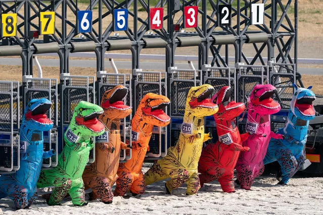 Competitors dressed as tyrannosauruses racing at Funabashi Racecourse in Chiba Japan 2025