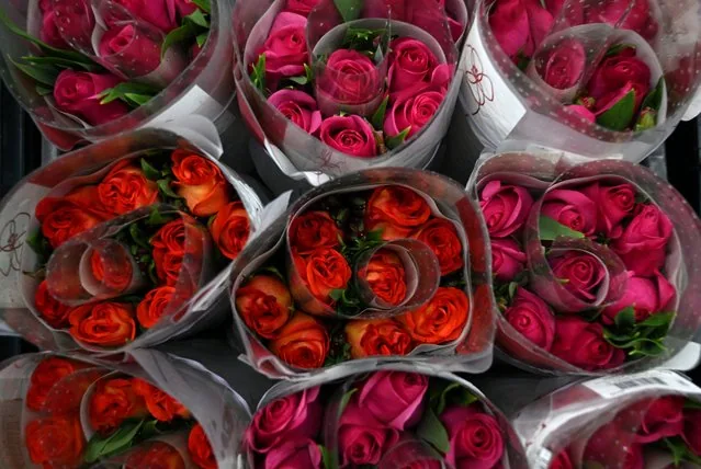 Packed export flowers at Flowers of the Andes warehouse in Bogota Colombia