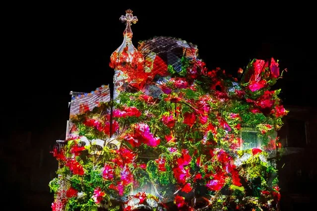 Casa Batlló in Barcelona illuminated with digital video-mapping artwork on February 1 2025