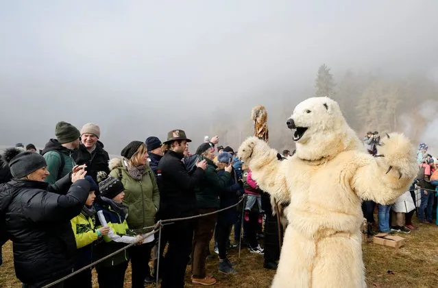 Bear-costumed participant at traditional Schleicherlaufen Fasnacht run in Telfs Austria
