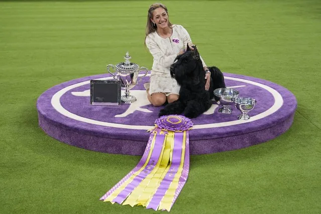 Katie Bernardin celebrating with Giant Schnauzer Monty after Westminster best in show