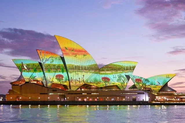Sydney Opera House sails lit with River Life artwork by Wiradjuri artist James P Simon Australia Day